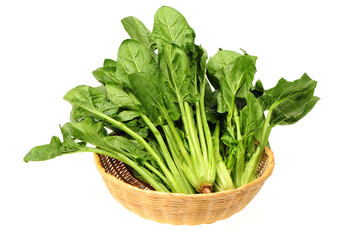 Spinach on white background
