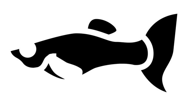 molly fish glyph icon animation