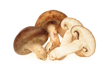 Shiitake mushroom on the White background 