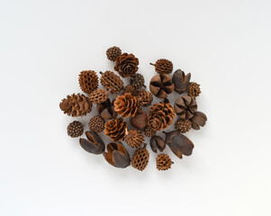 A collection of pine corns on white background. Top view. 
