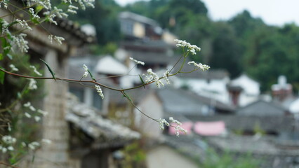 The old Chinese village view with the old built architectures in it