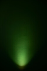 dark green wall and warm electric light, interior design