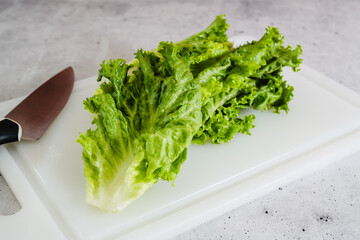 Green leaf lettuce close-up on white cutting board. Crisp fresh organic leaves close-up on the kitchen table