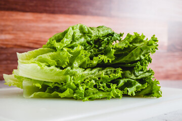 Green leaf lettuce. Close-up of fresh organic green leaves