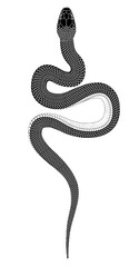 Black snake - Line drawing illustration of a black snake