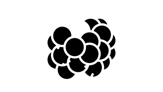 blackberry juicy berry glyph icon animation