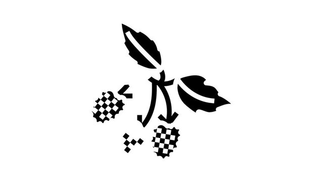 raspberry plant delicious glyph icon animation