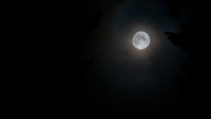 Obraz na płótnie Canvas Moon in Gifford Pinchot National Forest - Wilderness