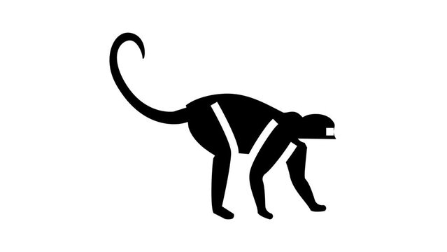 monkey animal in zoo glyph icon animation