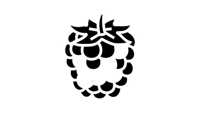 ripe blackberry glyph icon animation