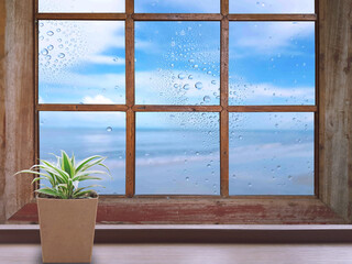 On a rainy day, water droplets were visible on the outside glass blurred. (Window background) The brown wooden floor on the left has a plant pots.