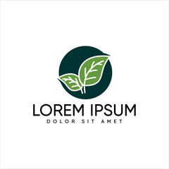  leaf icons design template vector