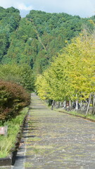 The dead valcano rock hill view with the rough black valcano rocks
