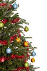 Part of a real, decorated evergreen Christmas tree with red garland, and blue green and gold Christmas ornaments isolated on a white background - 550181158