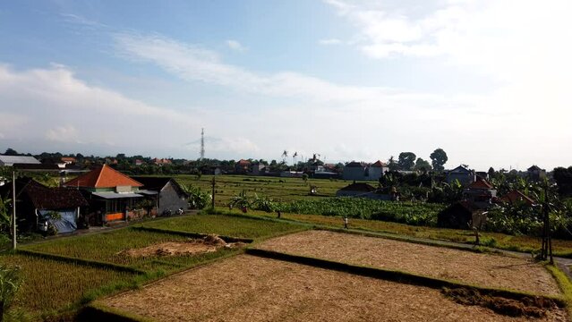 Aerial Time Lapse Balinese Rural Lifestyle Rice Field Paddy Bali Indonesia Sky Clear Horizon Clouds Moving Blue Heaven