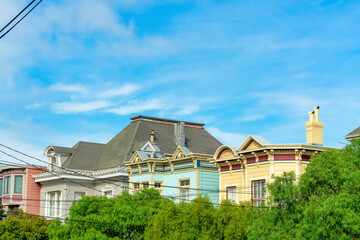 Row of houses with colorful paint in San Francisco California with front yard foliage and blue sky background