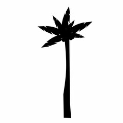 coconut tree illustration