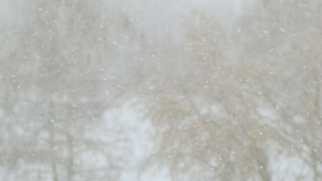 Falling snow, blurred winter background. Defocused snowflakes flying and spinning in the air. Blizzard outside the window.