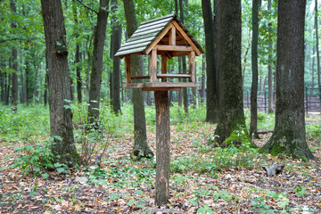Feeder for squirrels in the park.