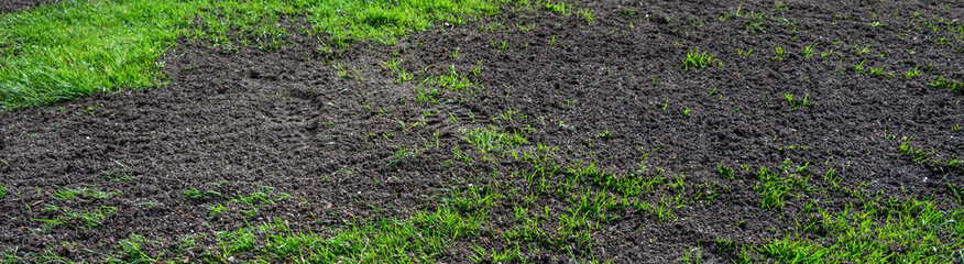 Major lawn repair and reseeding project, fresh seeds and rich topsoil in a green lawn
