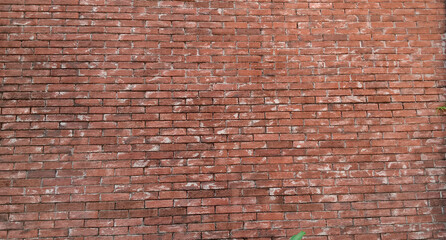 Fototapeta premium Old vintage Brick wall texture with natural pattern