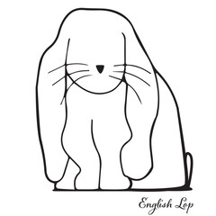 English Lop