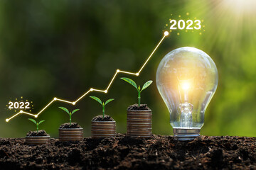 Seedlings are growing on stacked coins in soil with growth compared to year 2022-2023 and light...