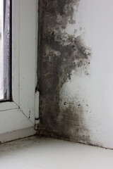 Black mould and fungus on wall near window. The problem of ventilation, dampness, cold in the apartment