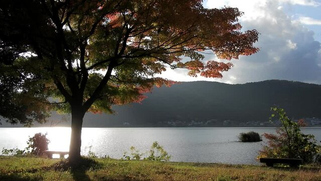 秋の余呉湖畔の夕景