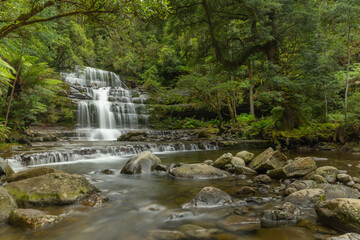wide angle side view of liffey falls on a rainy summer day