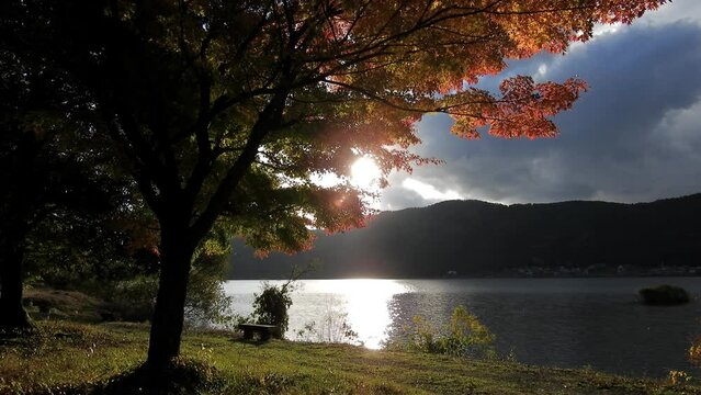 秋の余呉湖畔の夕景