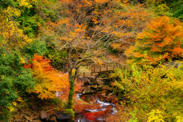 秋の深山峡(広島県山県郡安芸太田町加計)