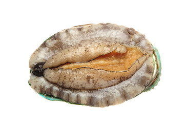 Raw abalones on the white background 