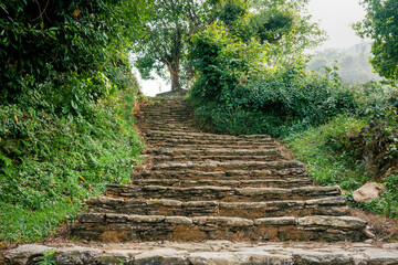 An antique stone staircase leads up a hill in the green jungle.