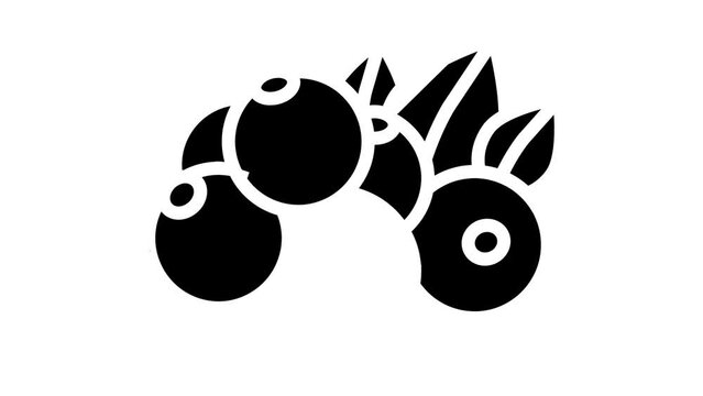 currant berry glyph icon animation