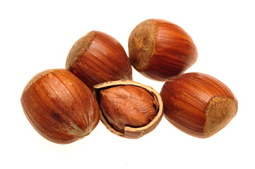 Hazelnuts on white background