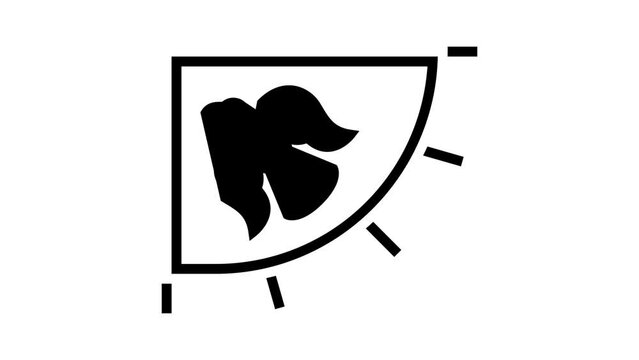 flag viking glyph icon animation