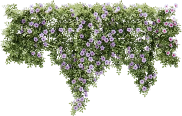 Fotobehang Flower vines cutout © safri