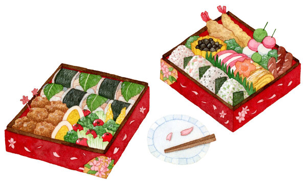 手描き水彩 | お弁当、お重、お花見のイラスト
