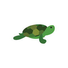 Tortoise animal with shell - vector illustration isolated on white.