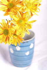 Vase of yellow flowers