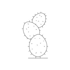 Houseplant cactus line art Vector isolated on white background. vector illustration outline.