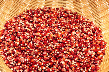 Colorful traditional corn background