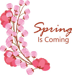 cherry blossom branch