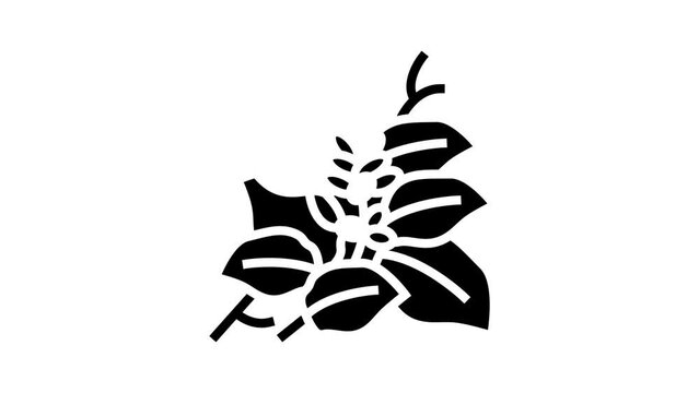 kudzu plant glyph icon animation