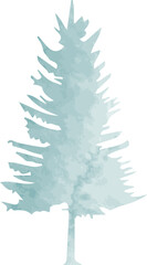 pine watercolor illustration