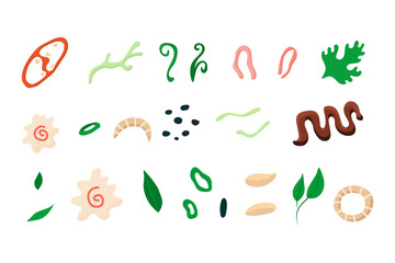 Set of elements for decorating food