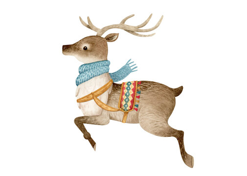 Hand drawn watercolor reindeer illustration.
