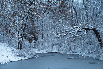 Frozen pond in winter