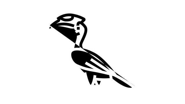 malabar pied hornbill bird exotic line icon animation